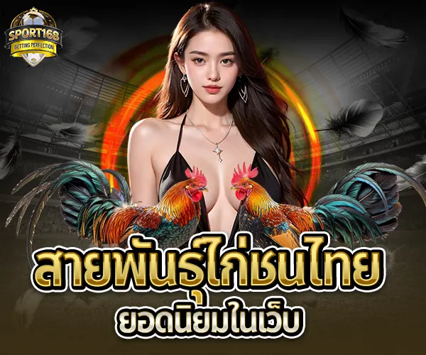 ไก่ชนไทยที่ Sport16-สายพันธุยอดนิยม